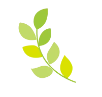 leaf01