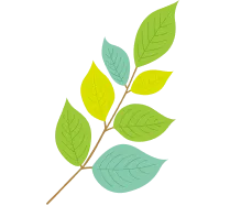 leaf02