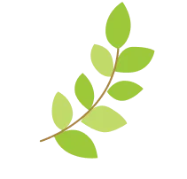 leaf04